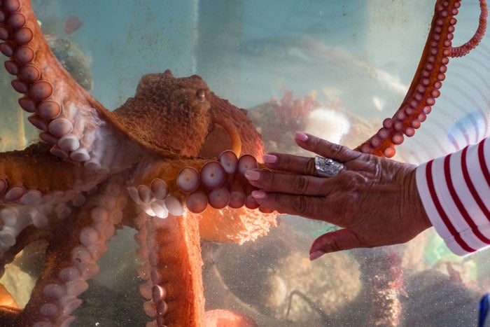 7 Romantic Things To Do In The Olympic National Park Area My Olympic Park