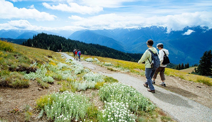 Hiking the Hurricane Hill Trail