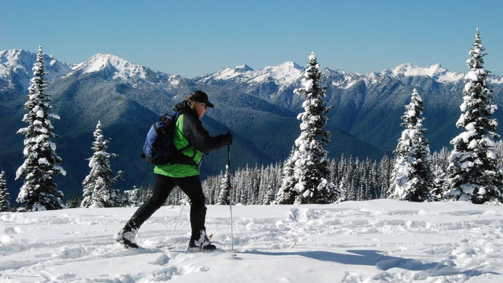 Cross-country skiing on Hurricane Ridge