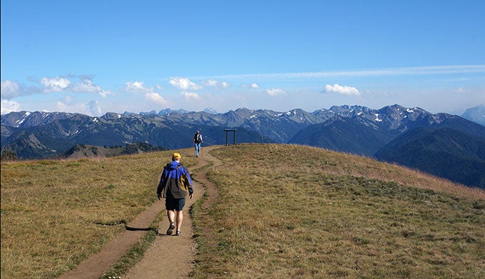 South Overlook at the top of Hurricane Hill with views of the craggy Bailey Range. Photo by Gloria Wadzinski