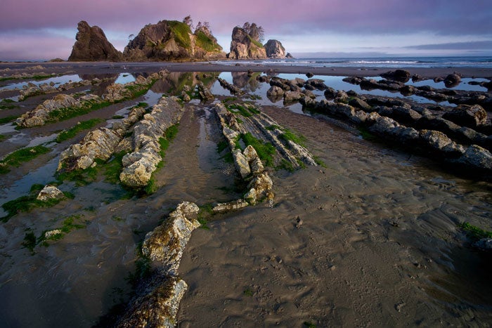 Point of Arches on Shi Shi Beach in Olympic National Park