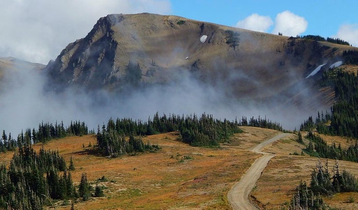 Obstruction Point Road near the end of the road in Olympic National Park