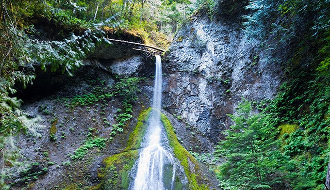 OL-Marymere-Falls_DP_680 Marymere Falls in Olympic National Park.