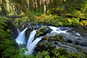 Olympic Peninsula Waterfall Map
