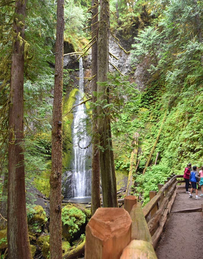 The lower overlook at Marymere Falls in Olympic National Park