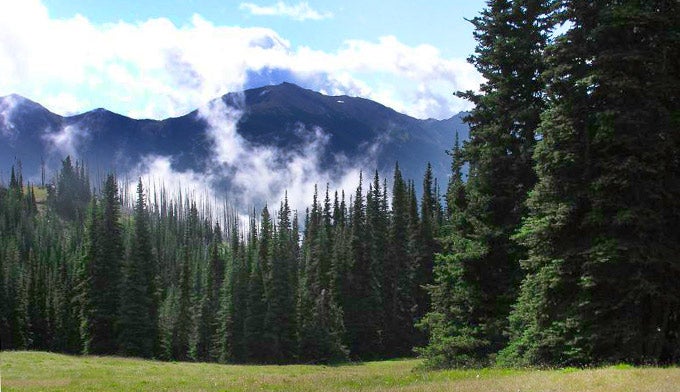 OL-Deer-Park-Campground-meadow_FlickrMikeDierken_680 A valley in Deer Park seen from the campground