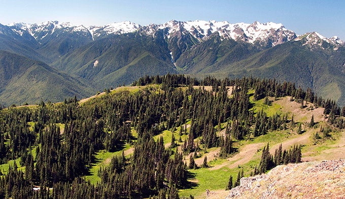 OL-Hurricane-Hill-View_NPSPD_680 The view from Hurricane Hill in Olympic National Park.