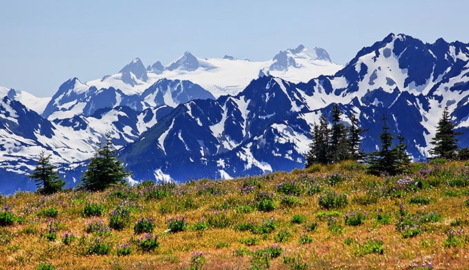 OL-Mt-Olympus_DP_680 Mount Olympus in Olympic National Park