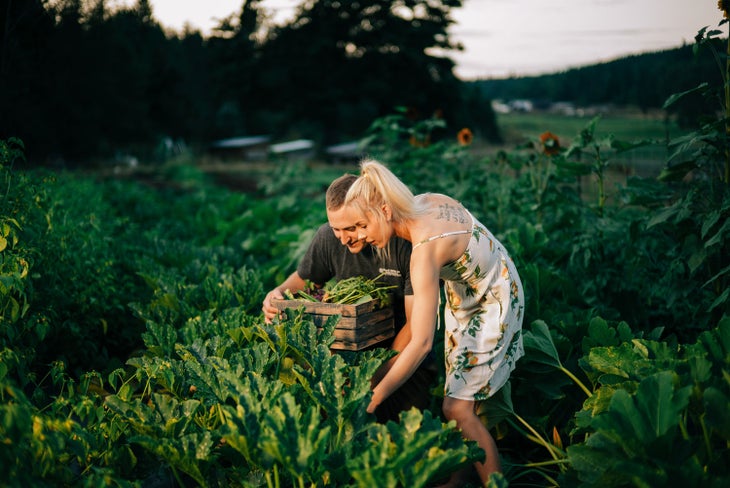 Visit local farms at Port Ludlow