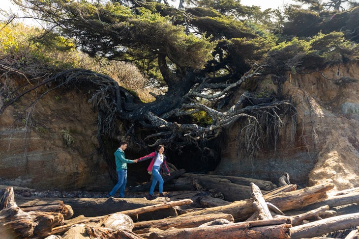 Couple under the Tree of Life on Kalaloch Beach