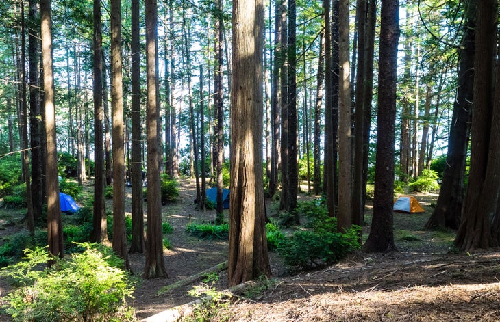 Erickson's Bay Boat-In Campground on Lake Ozette