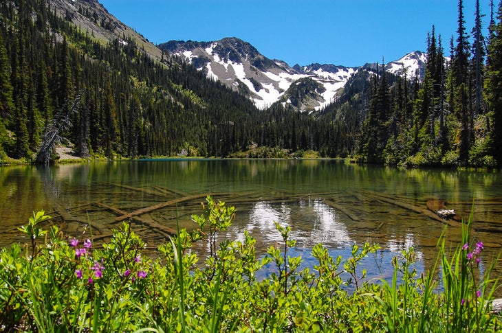 Royal Lake in Olympic National Park