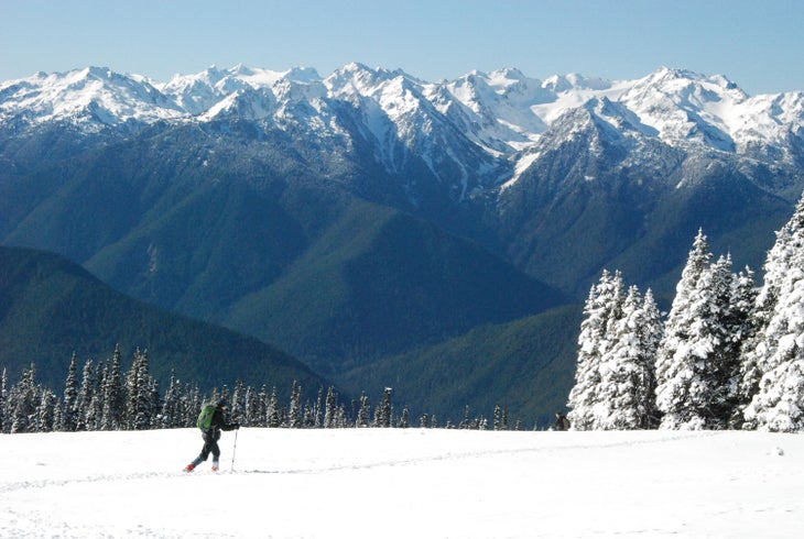 Cross-country skiing on Hurricane Ridge in Olympic National Park