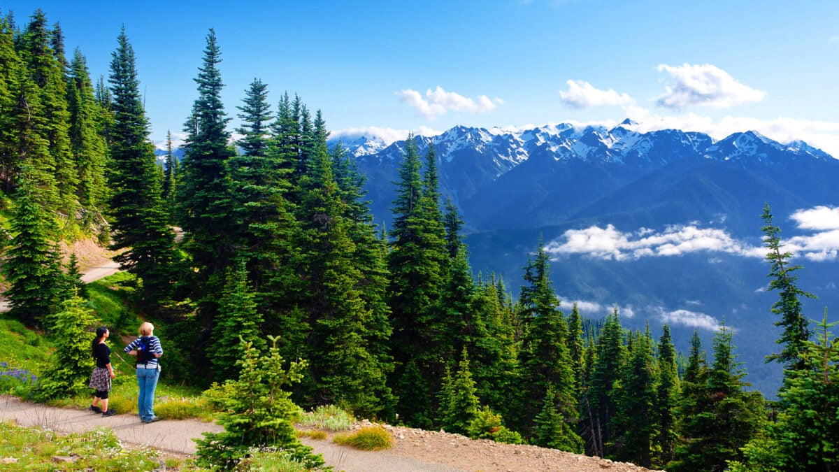 Olympic National Park Essentials: 11 Things You Need to Know