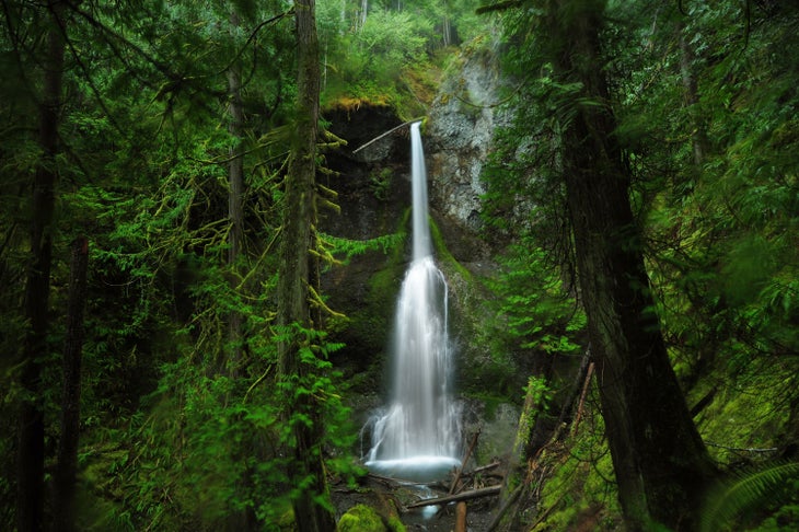 Marymere Falls in Olympic National Park