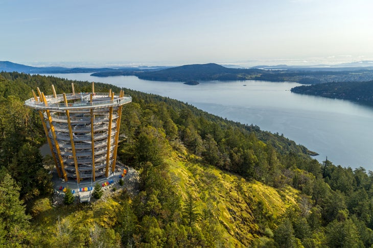 Malahat Skywalk near Victoria, B.C.