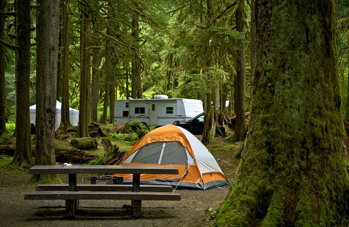 OL-Campground-RV_DP_700 RV and tents in a campground in Olympic National Park in Washington