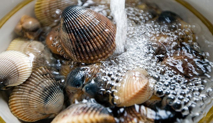 Clams-in-bowl_Adobe_680 Clams