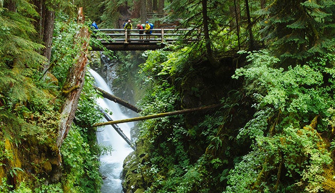 lovers lane loop olympic national park