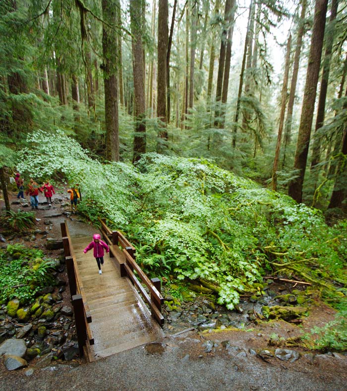 OL-SolDucFalls-Boardwalk-trail_JBailie_700v Boardwalk on trail to Sol Duc Falls in Olympic National Park
