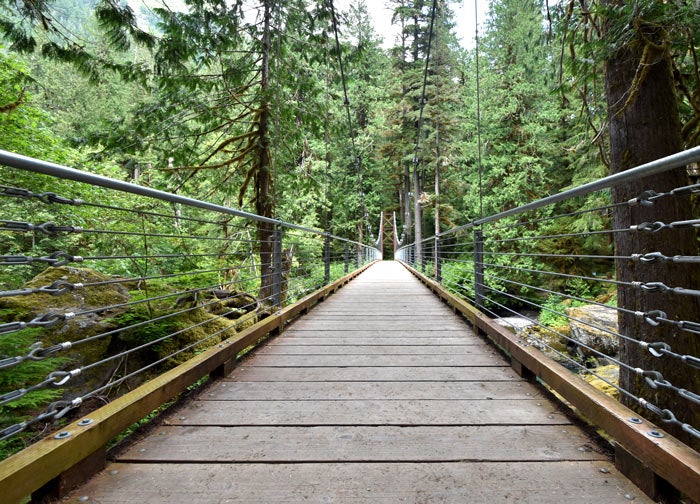 OL-StaircaseRapids-SuspensionBridge_Gloria_700 The suspension bridge on the Staircase Rapids Trail in Olympic National Park