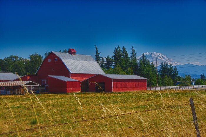 WA-Enumclaw-farm-MtRainier_DP_700 A farm in Enumclaw with a backdrop of Mount Rainier