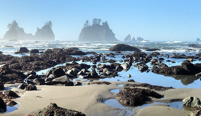 OL-Shi-Shi-Beach-4_DKrause_680 Shi Shi Beach in Olympic National Park