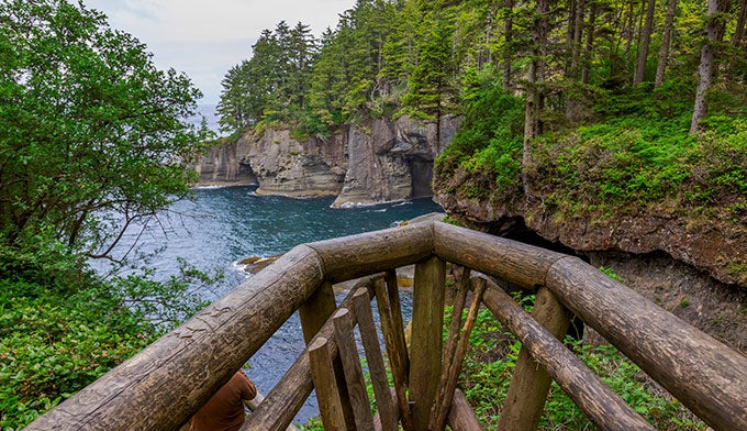 WA-Cape-Flattery-Overlook_iStock_680 One of several overlooks onto Cape Flattery.