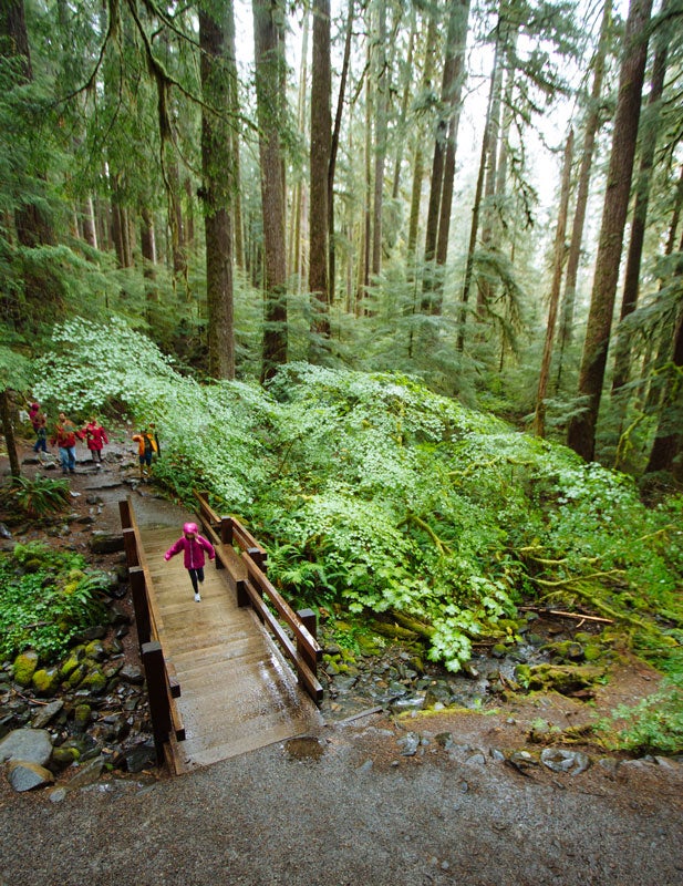OL-Sol-Duc-Trail-boardwalk-children_JBailie_800 Children running on the boardwalk on the Sol Duc Falls Trail. Photo by Justin Bailie