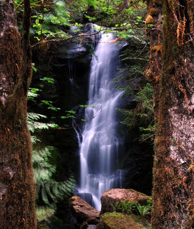 OL-MerrimanFalls_FlickrBrandanSchulze_400v Merriman Falls in Olympic National Park
