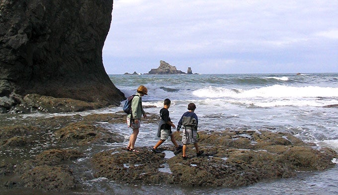 Rialto-Beach-tidepools-kids_NPS-PD_680 A family exploring the tide pools on Rialto Beach.